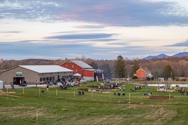 alpine goat brewery tour