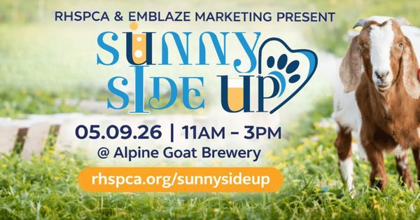 Sunny Side Up Festival